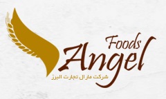 خانه 10 لوگوی مشتری پانه عرفان 2